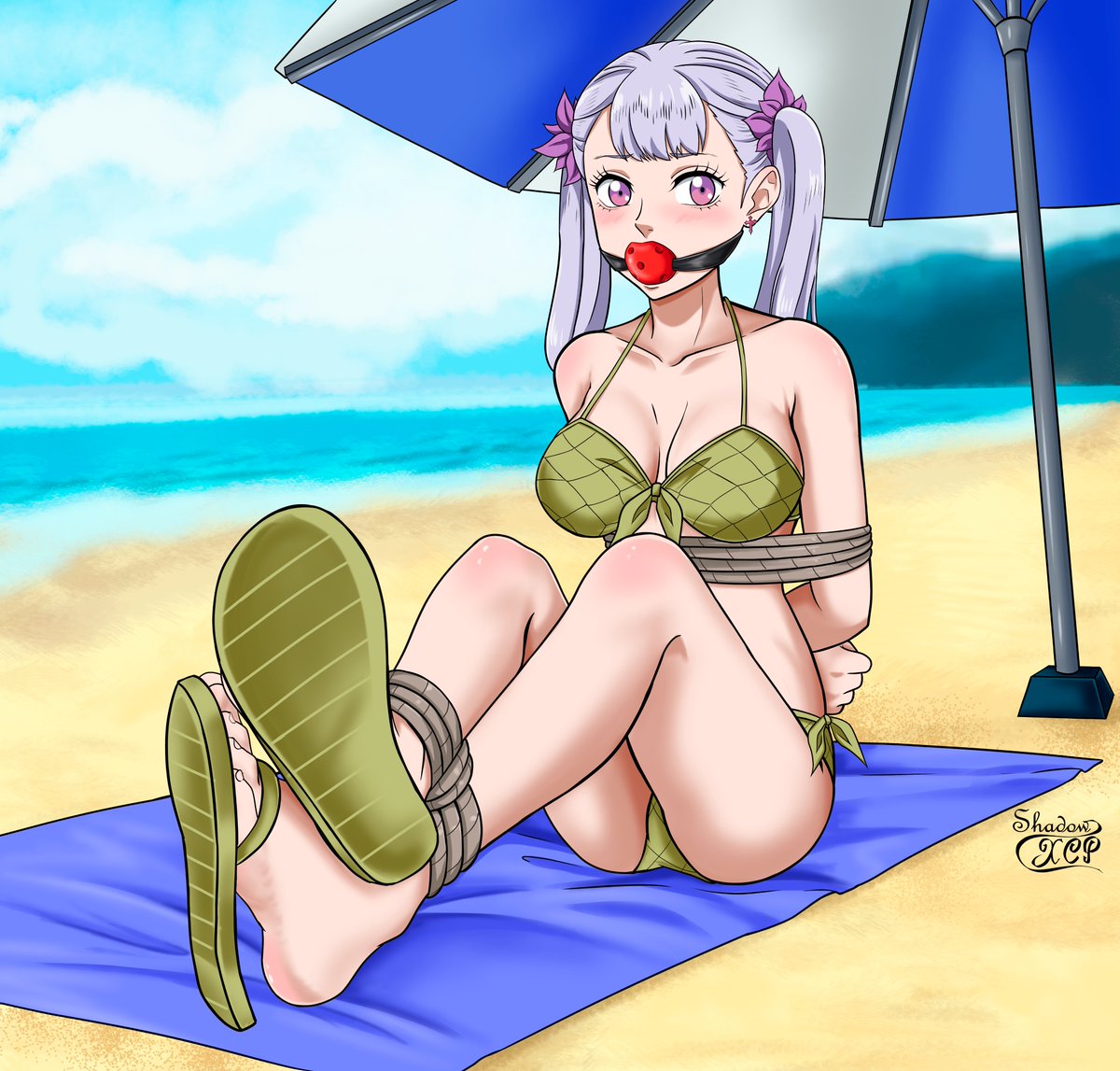 Shadow-XCP tweet media