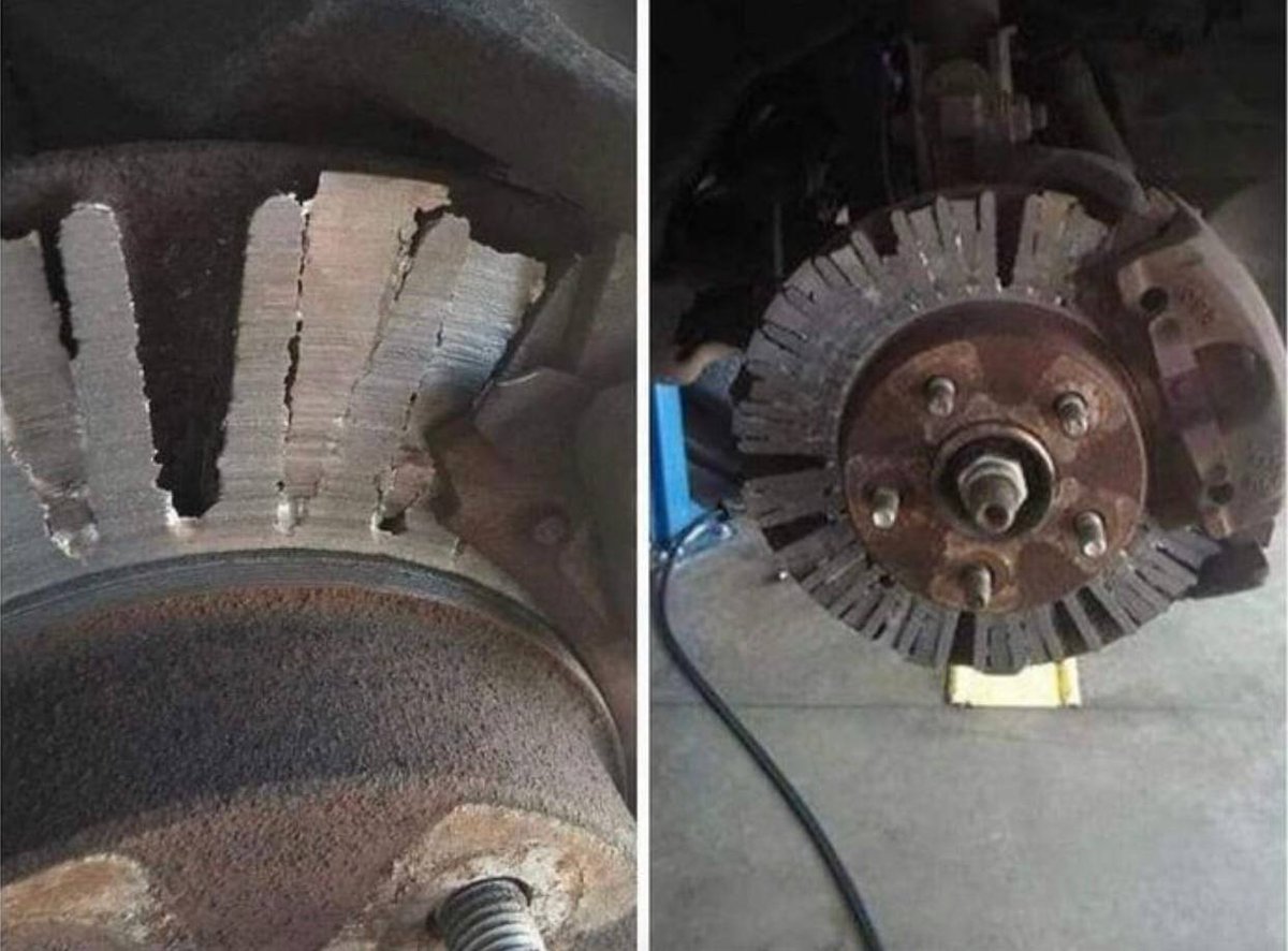 Connie 🇺🇸 tweet media