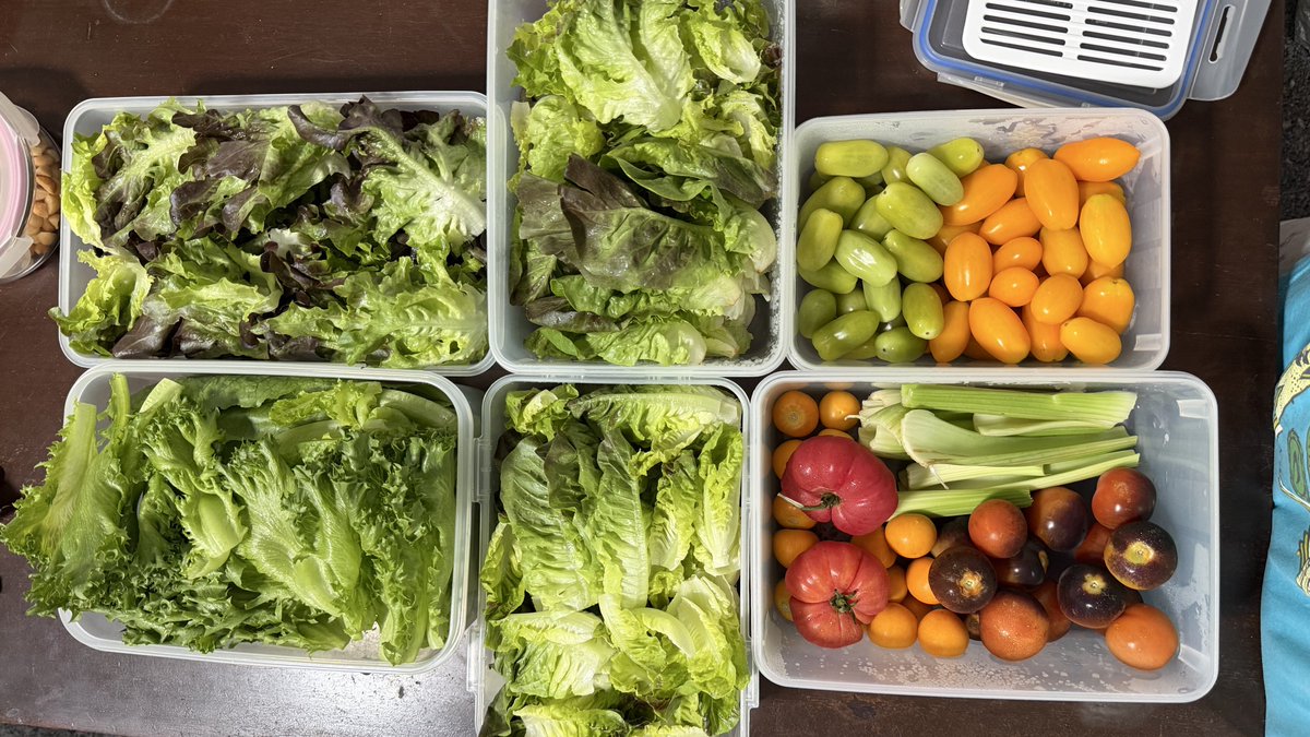 marauisxx's tweet photo. 🥕 How to ล้างผักสลัด + เก็บผักได้นาน 2-4 week ยังกรอบและสดไม่ช้ำ  👨🏻‍🍳🍅🌽🫜🍠🥑🍎 https://t.co/DTZGkK783D