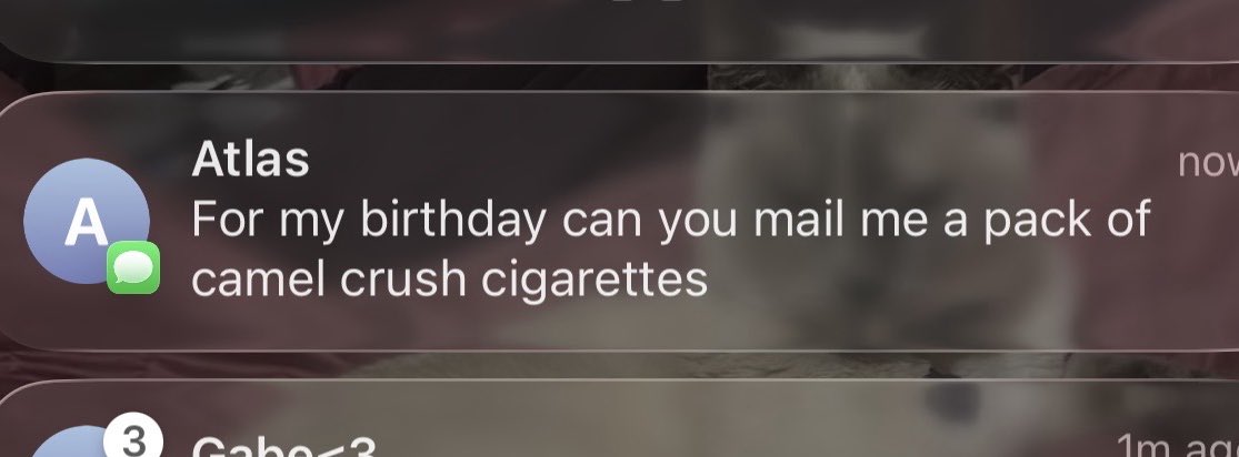 Little sibling just texted me👍