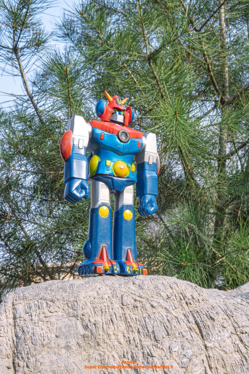 韭菜人han tweet media