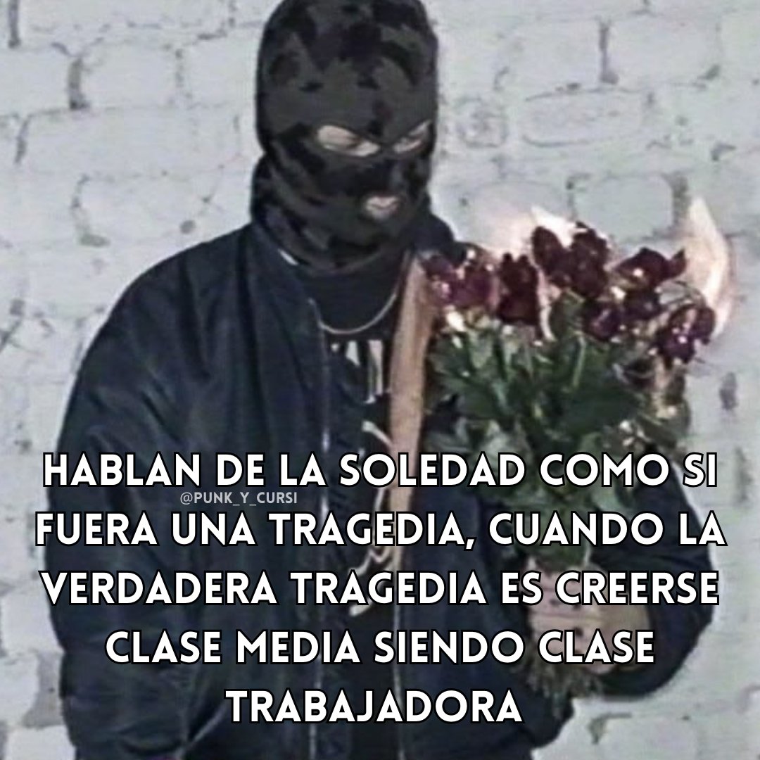 🌹🌹🌹🌹