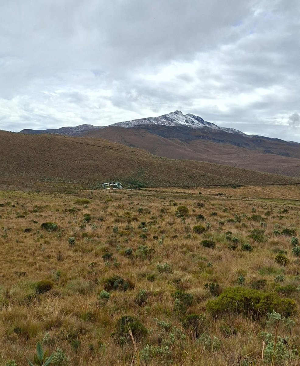 Parques Nacionales Naturales de Colombia tweet media