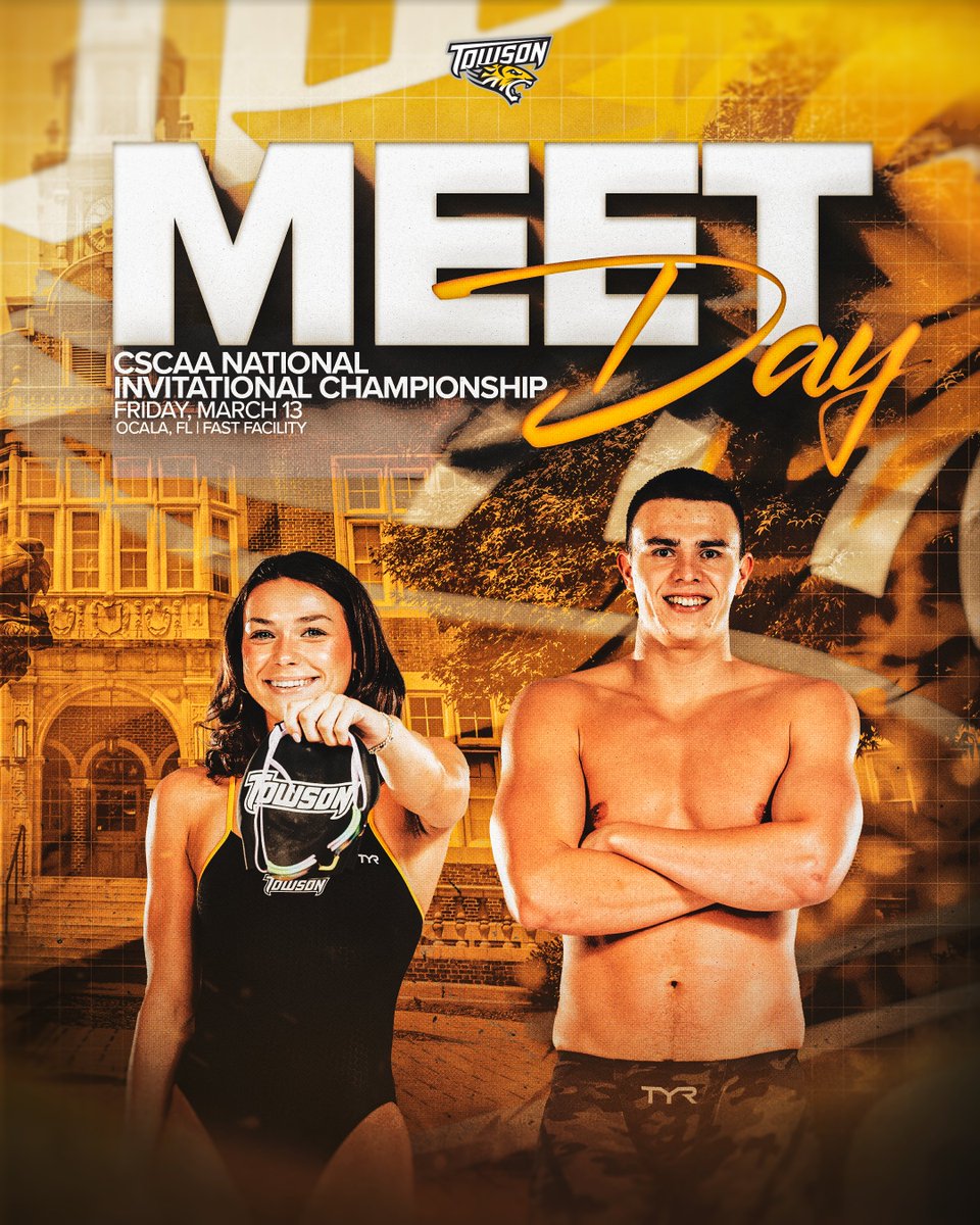 TU Swimming & Diving tweet media