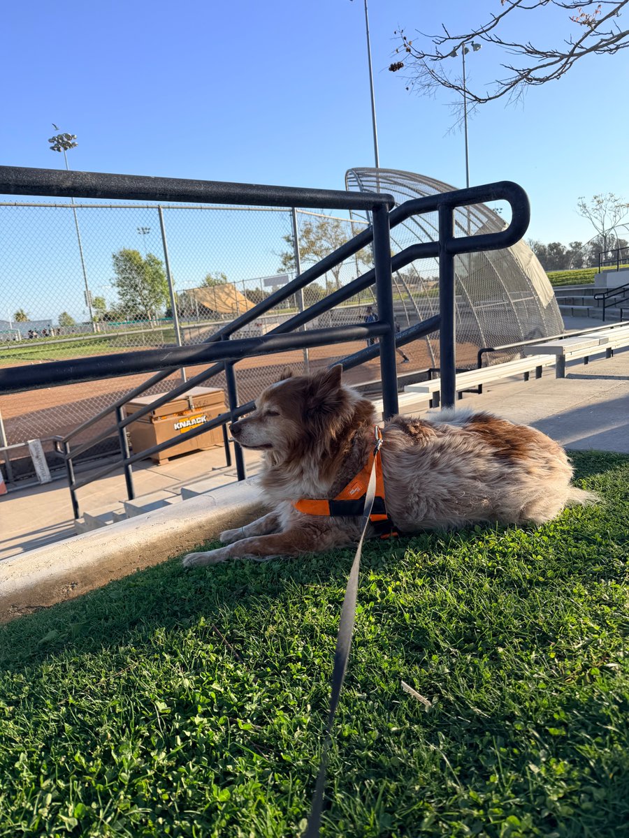 Sasha Stone tweet media