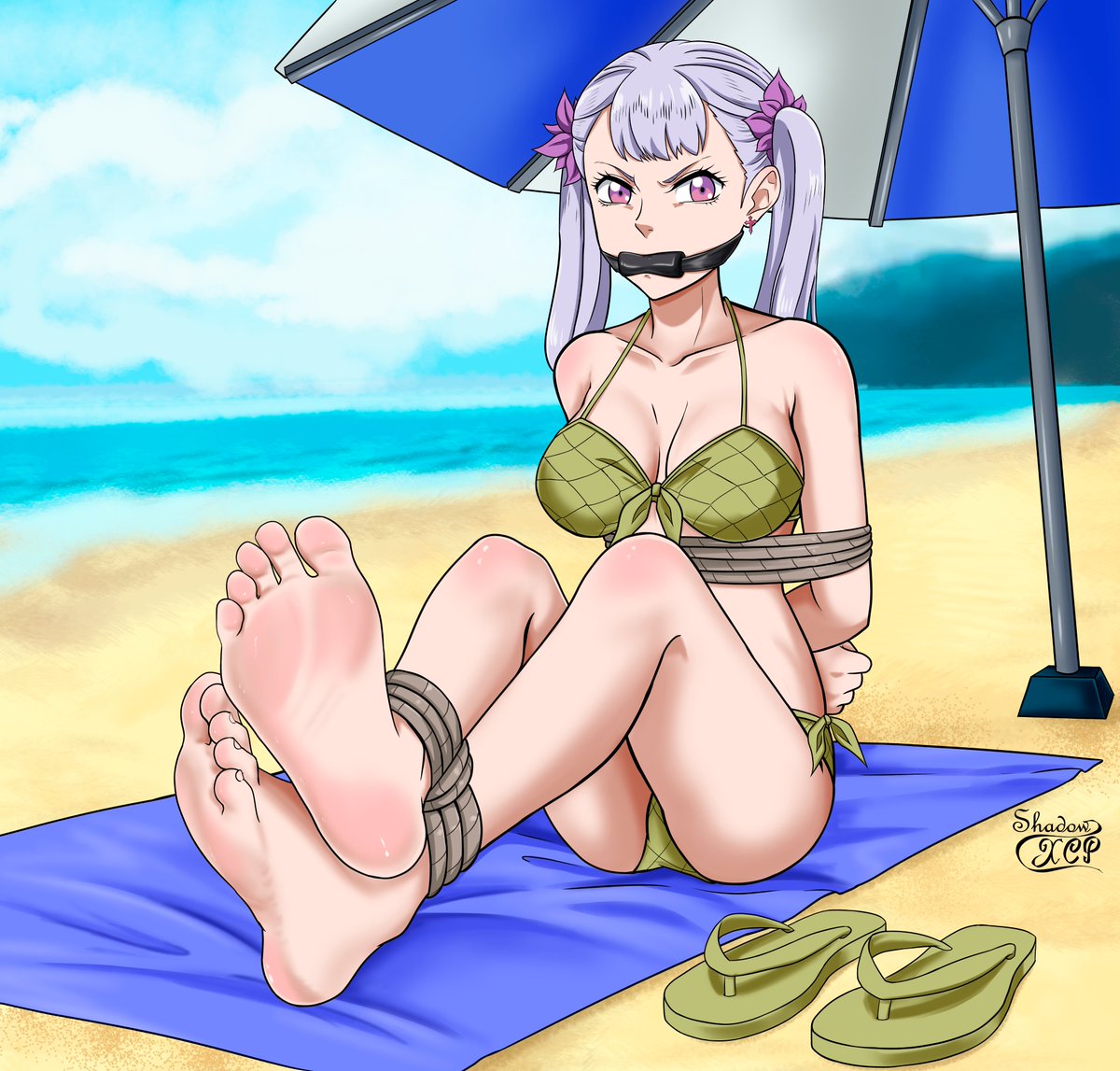 Shadow-XCP tweet media