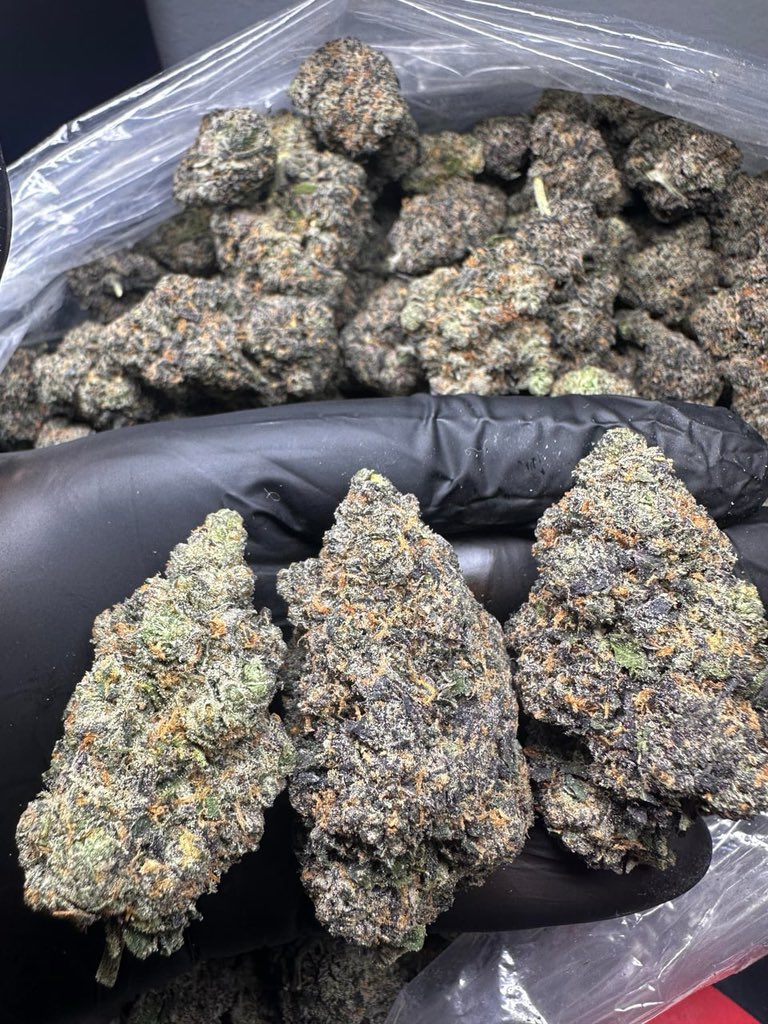 LiftedLeaf tweet media