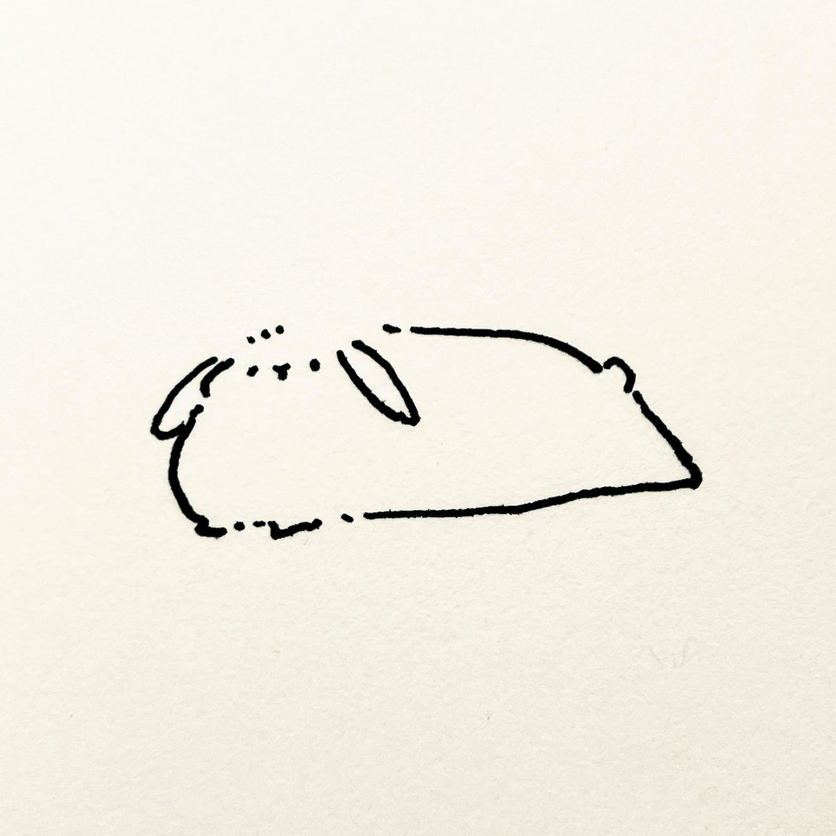 兎田ラビー tweet media