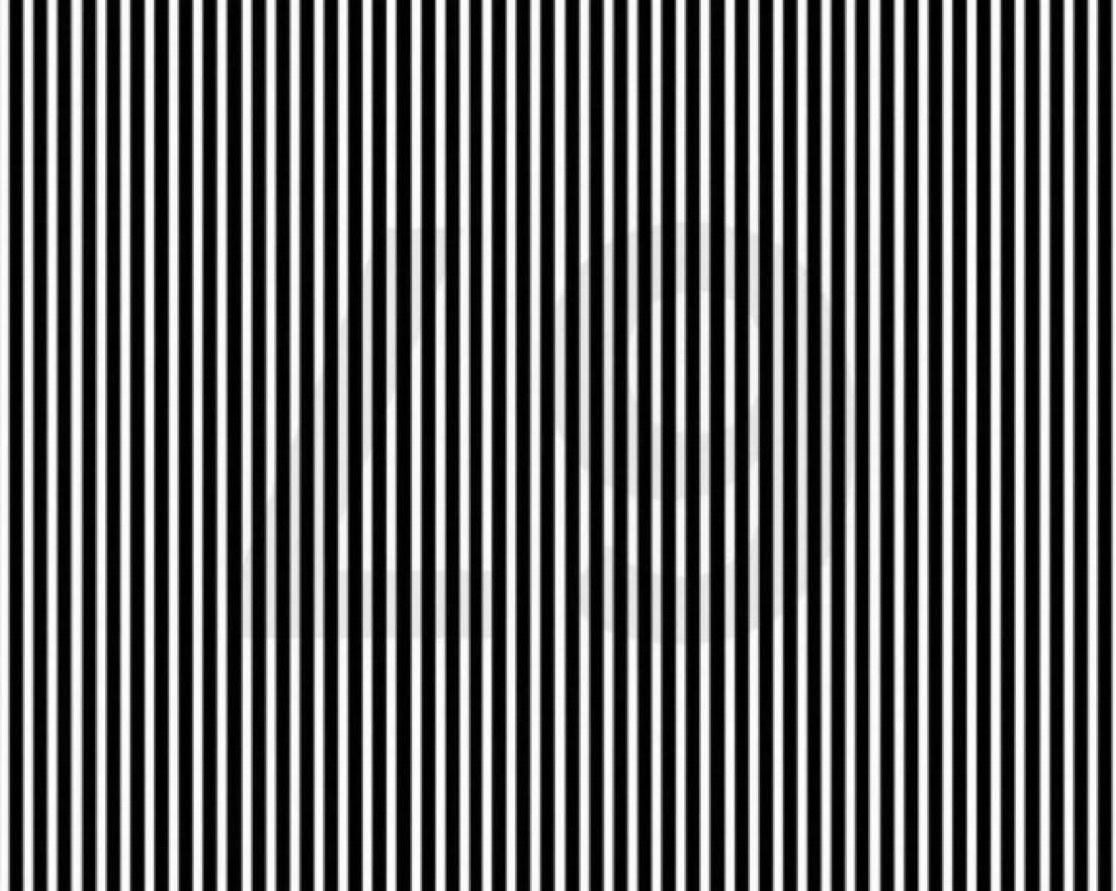 Honey 🛼 tweet media