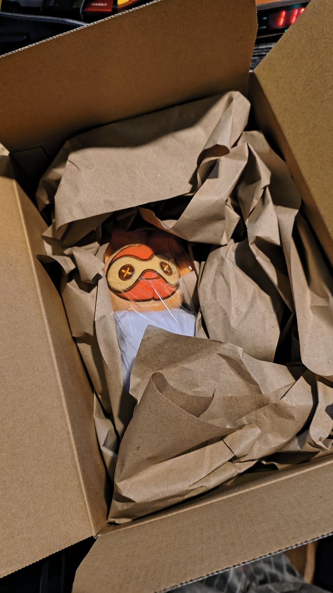 Sarina Tokihira🐙 tweet media