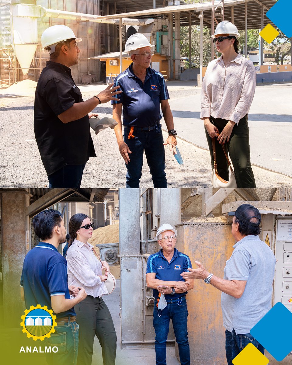 Asociación de Molineros de Panamá tweet media