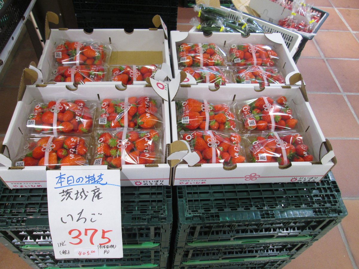 TFTビル【公式】 tweet media