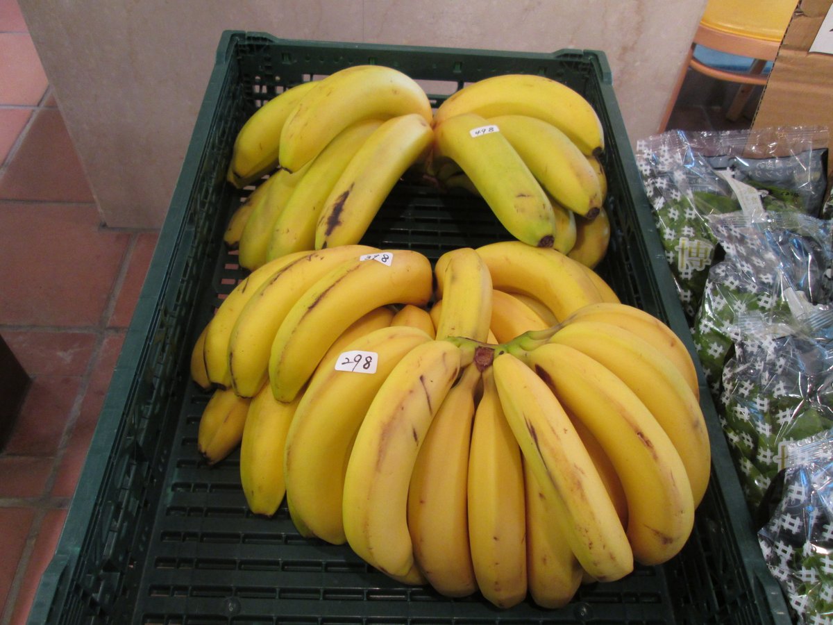 TFTビル【公式】 tweet media