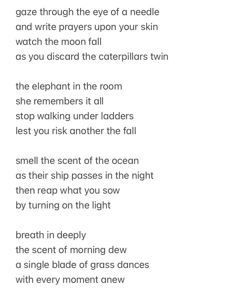 Zachary Phillips tweet media