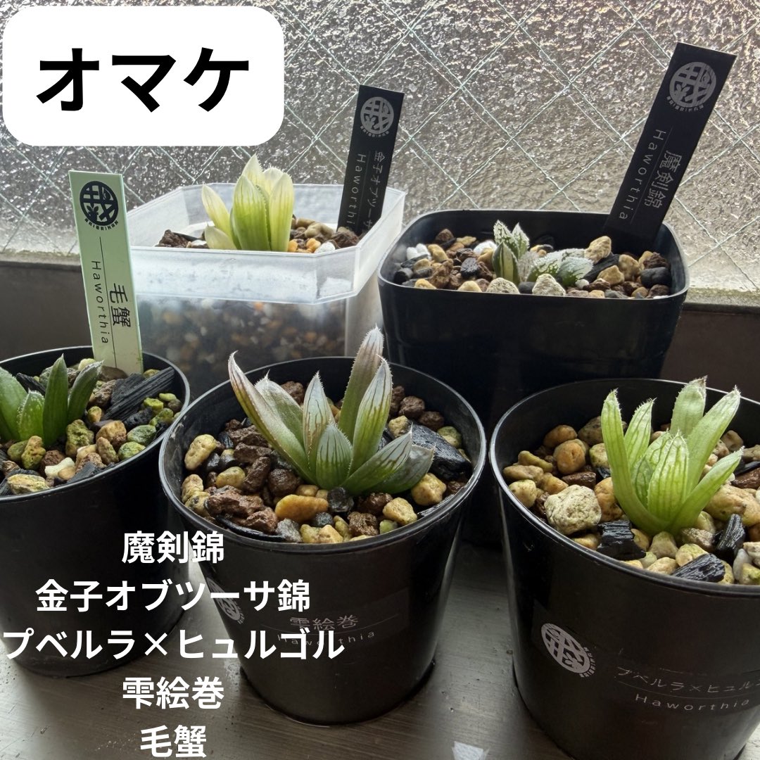 さいばいまん tweet media