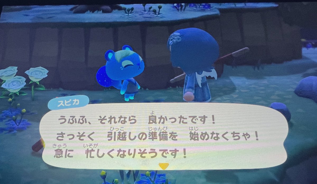 やっとお目当て住民に会えました、、(՞っ ̫ _՞)🩵
深夜１時まで頑張りました(寝落ち何回かしてたけど、、)