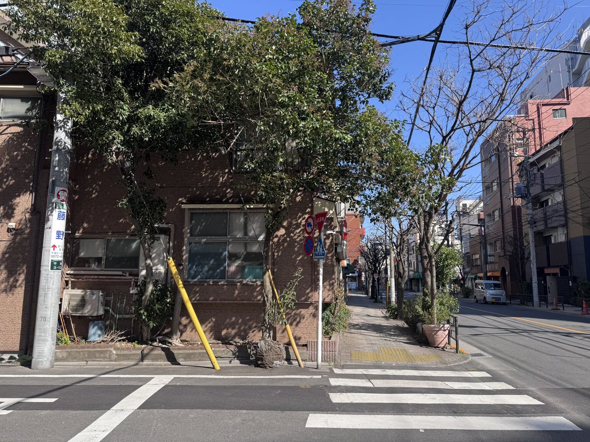 atashidesign's tweet photo. ねずみもちの木かな。
つよい、、
#下町園芸 https://t.co/6dnr3EwuSu