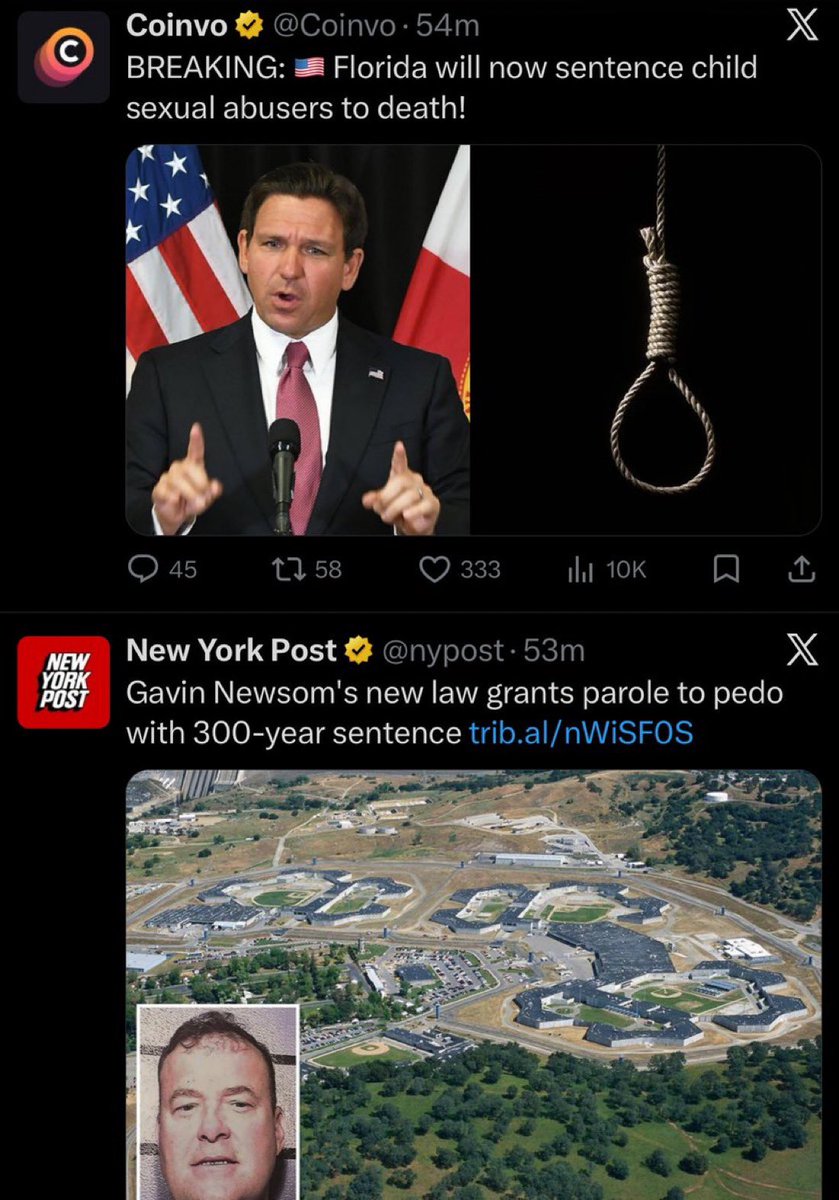 Rep. Anna Paulina Luna tweet media