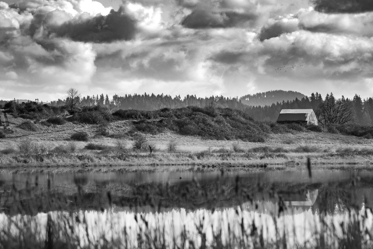 SceneKidSanta 𓅣𓅃 tweet media