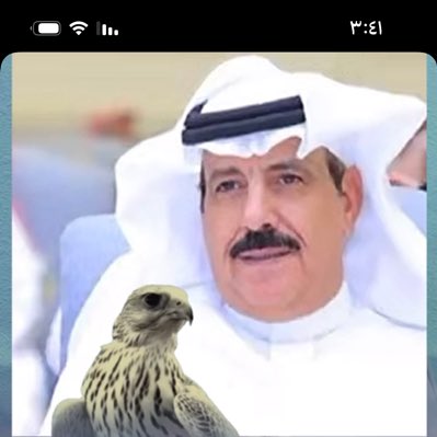 الشاعربنيدرالشيباني tweet media