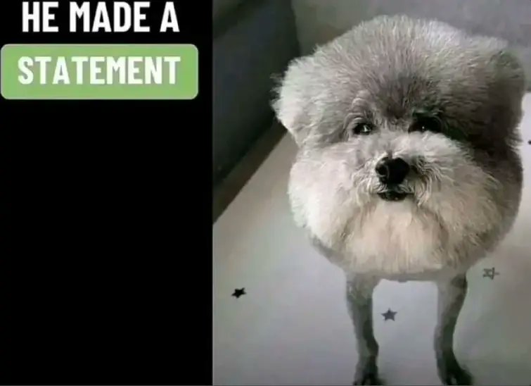 bubble wubble tweet media