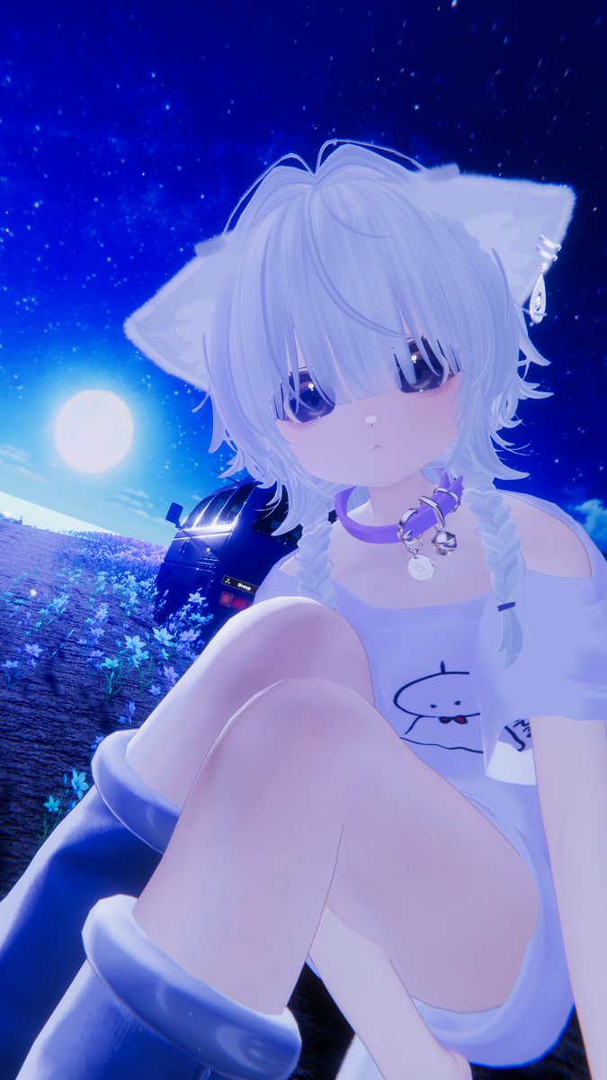 LiquidNyas's tweet photo. ねこです https://t.co/weNadT7IAS