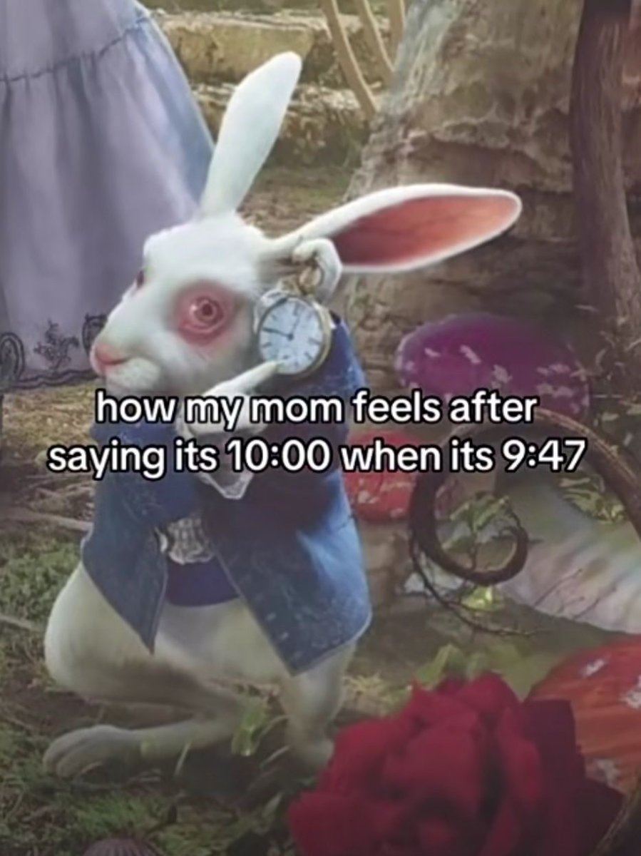 dex 💫 (@lowkeydex) on Twitter photo 