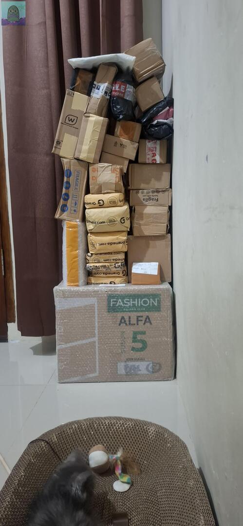 Tanyarl 💚 tweet media