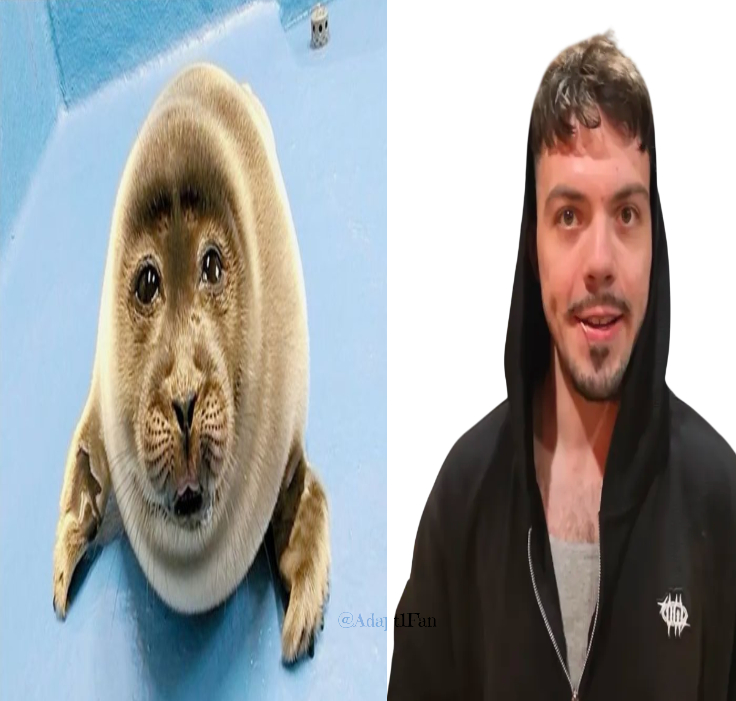 Adapt1Fan tweet media