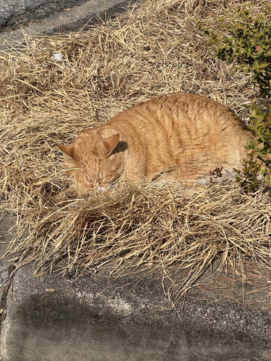 됴 ˳˳˳ tweet media