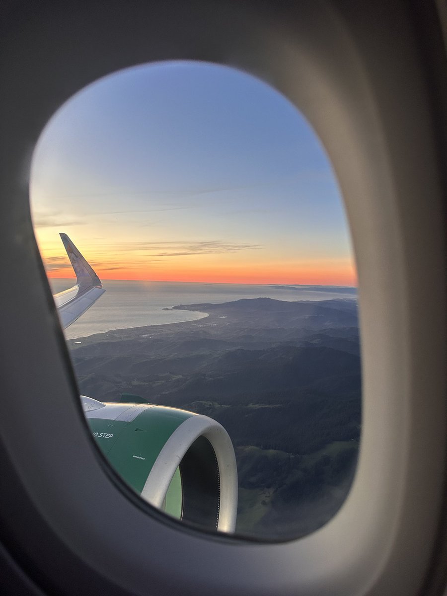 Rigatohni tweet media