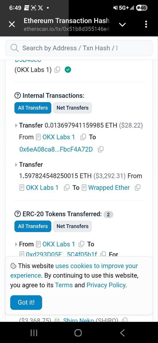 Shiro Neko tweet media