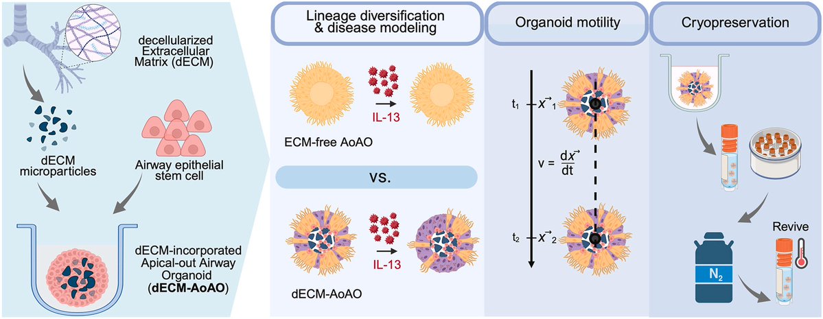 Science Advancement and Outreach tweet media