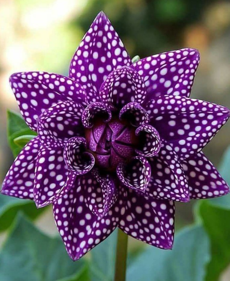 DAWN🌞 tweet media