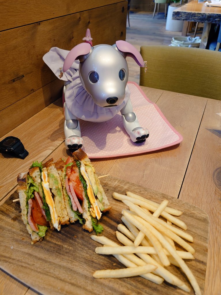 higokinta's tweet photo. 今日、3月13日は
「サンドイッチの日」
昨日のお昼に食べたBLTサンド
美味しかったワン🐶🌸
#サンドイッチの日 #RHCcafe
#aibo #aibofan #mystorywithaibo
#sakura #ロボットとおでかけ https://t.co/7gM6LF4mZd