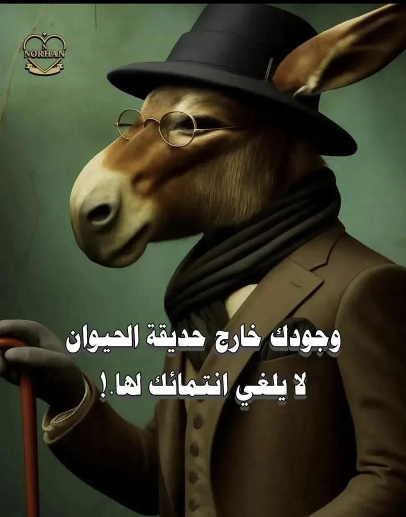 حامد tweet media