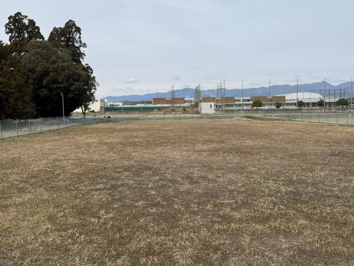 中村 侑人/株式会社YoutoYuto tweet media