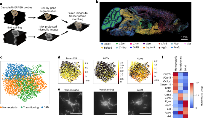 Waggoner Lab tweet media