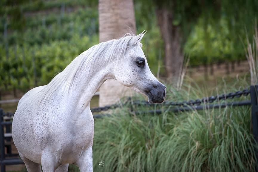 *اللهم اجعلنا ممن هدى واهتدى، وسمع ووعى، وممن سبقت لهم منك الحسنى، وممن نال أفضل ما يتمنى.*
*اللهم أسعد قلوبنا بالإيمان والرضا والعفو والمغفرة.*
*اللهم صل وسلم على نبينا وحبيبنا وقدوتنا وشفيعنا وسيدنا محمد وعلى آله وصحبه وسلم.*
*ربنا اغفر لي ولوالدي وللمؤمنين يوم يقوم الحساب.*