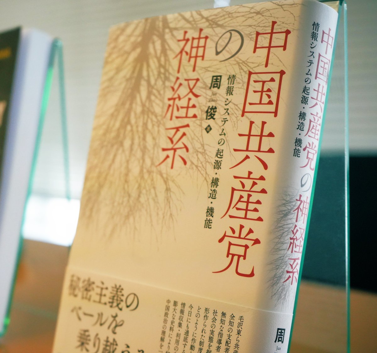 Jun ZHOU🍟周俊 tweet media