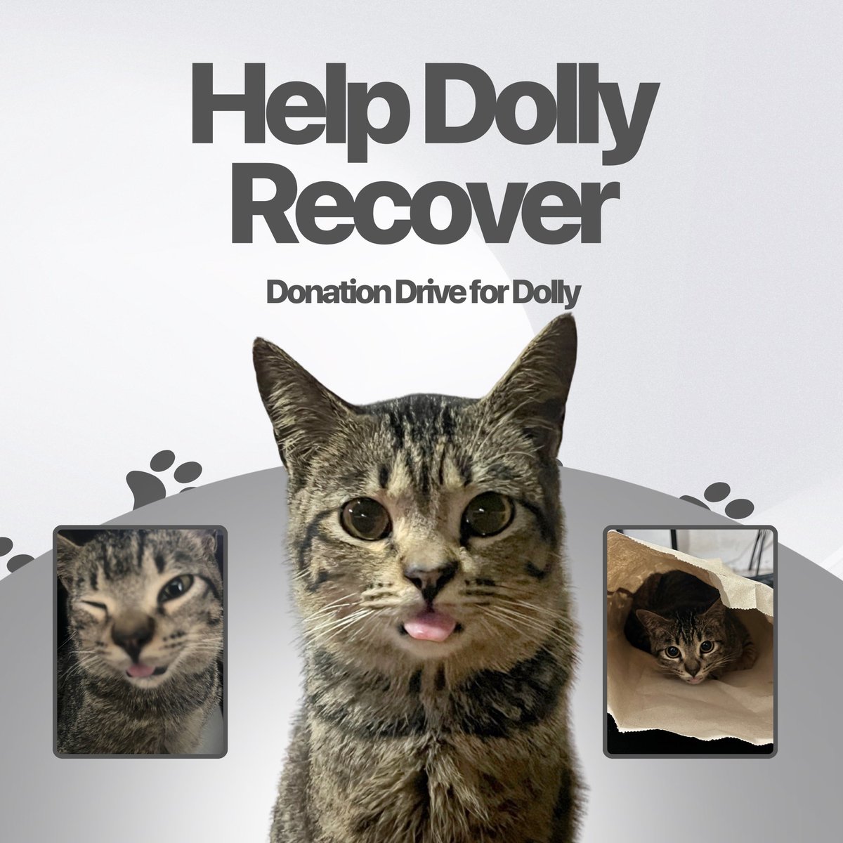 AZE | commissioner tweet media