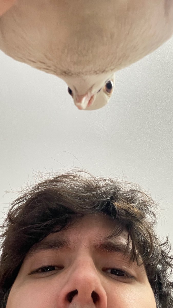 nicocore | indie horror game content creator tweet media