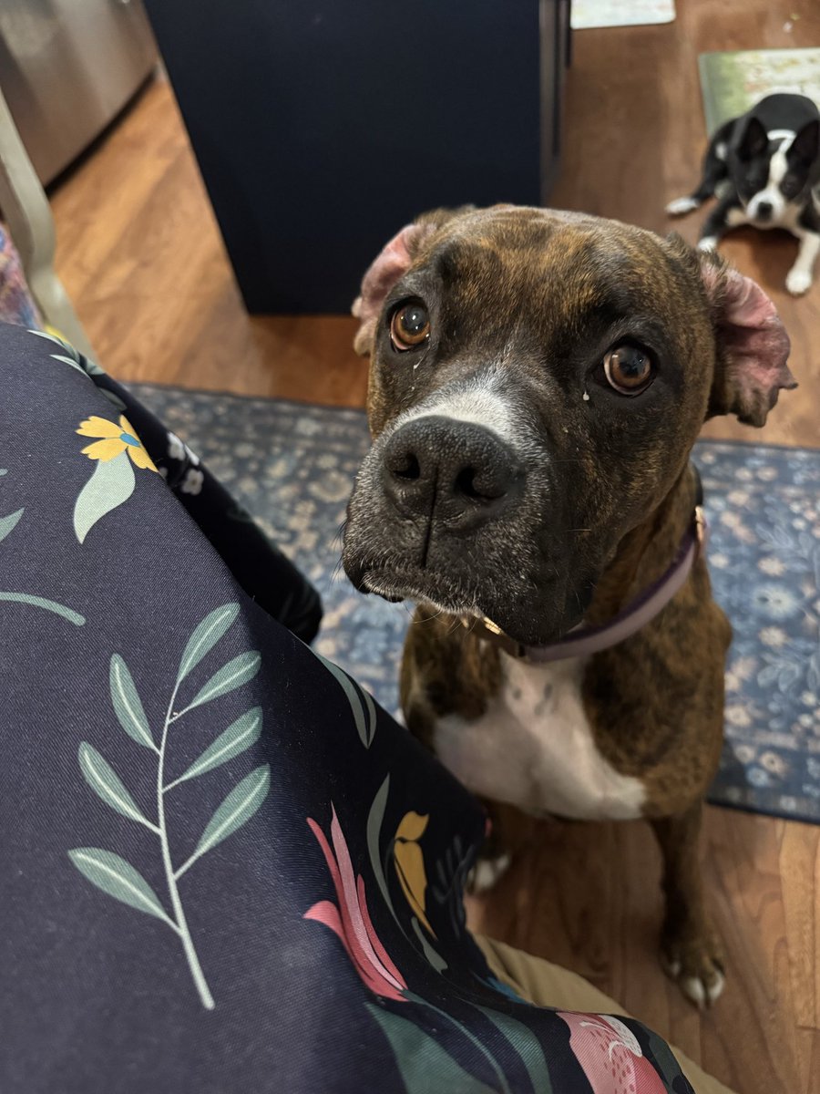 Phil Walton tweet media