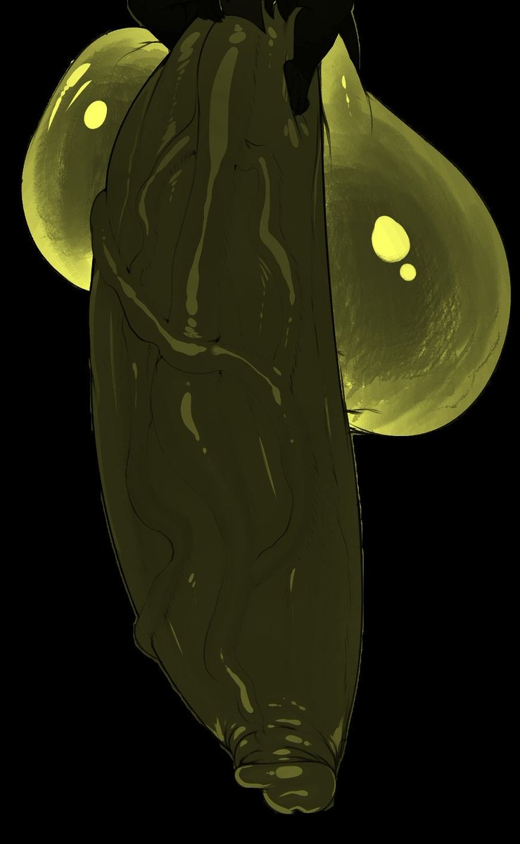 ๐๐๐๐. tweet media