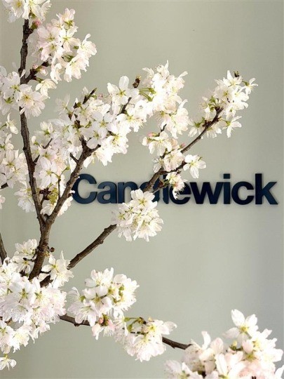 candlewick_jp's tweet photo. キャンドルウィックでは、毎年この時期になるとオフィスに桜を飾っています🌸
半蔵門のオフィス周辺では、お花見シーズンになると千鳥ヶ淵の桜が一面に咲きます。
窓から満開の桜を眺められるのは、この場所ならではのちょっとした贅沢。
季節の移ろいを感じながら、人の気持ちや社会の空気感に寄り添うPRを大切にしていきたいと思います。
#Candlewick #TokyoPR #広報PR