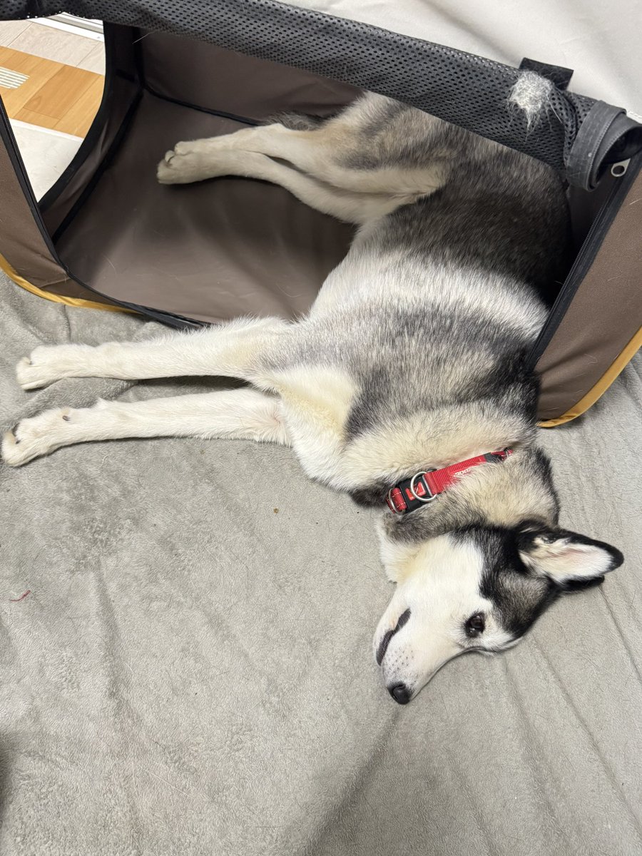 クロス tweet media