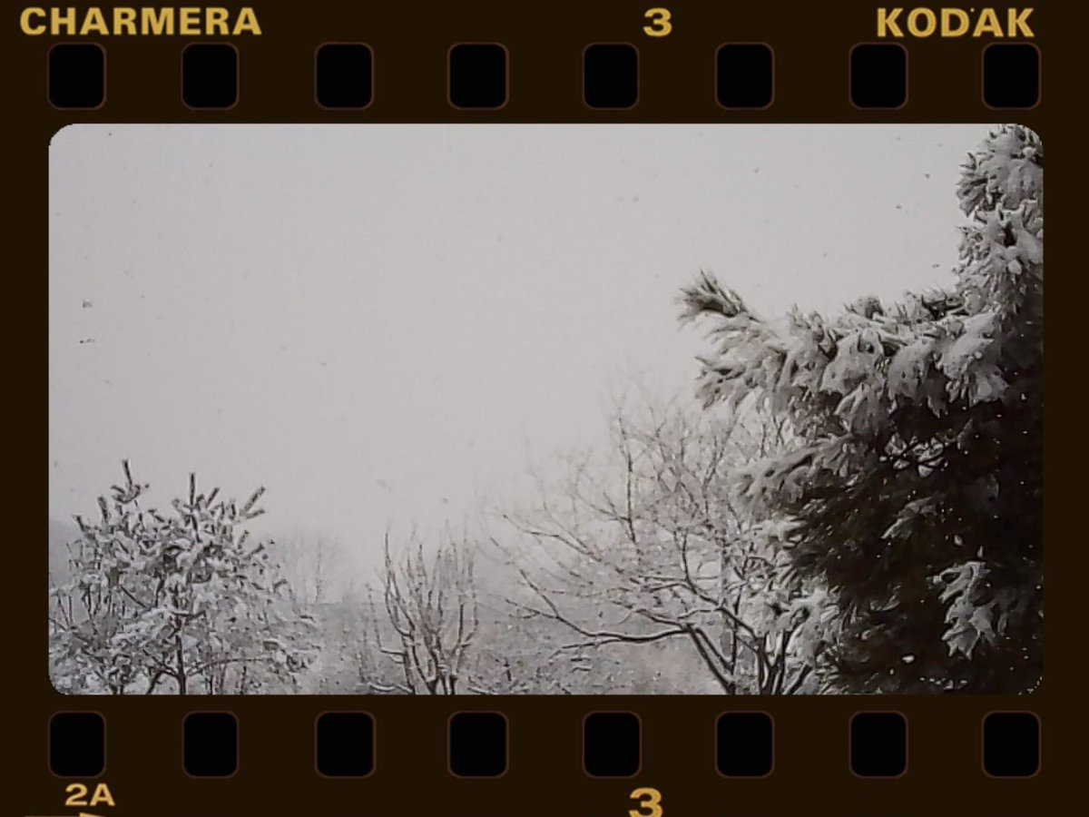 ReadymadeGreen's tweet image. 폭설 #charmera