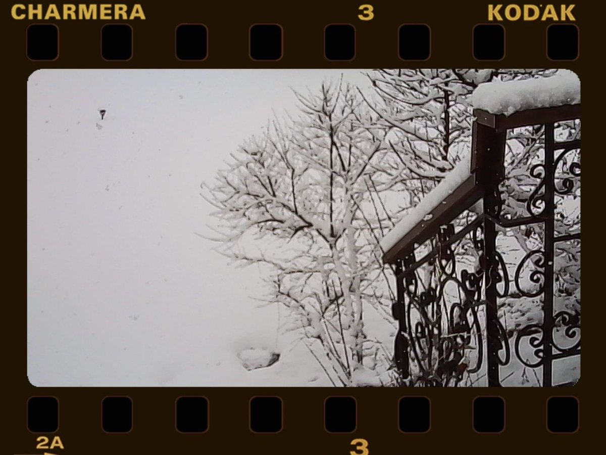 ReadymadeGreen's tweet image. 폭설 #charmera