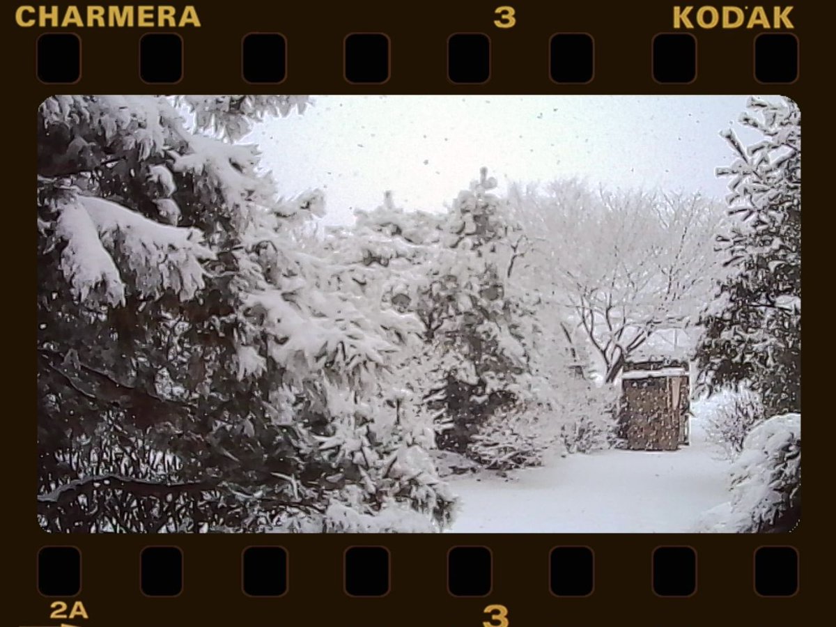 ReadymadeGreen's tweet image. 폭설 #charmera