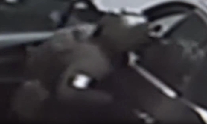 ᔕEᑎTIᑎEᒪ tweet media